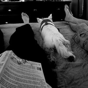 Meet your Posher, Joey